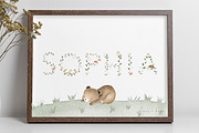 The Woodland Alphabet, an Animal Illustration by Flora+Bear (Thumbnail 9 of 16)
