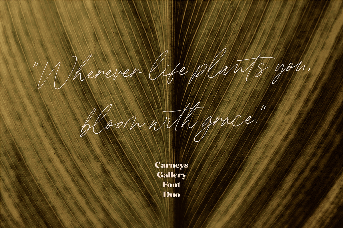 Carneys Gallery Font Duo, a Sans Serif Font by Letteralle Studios (Photo 8 of 16)