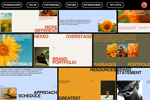 HEXXO - Brand Portfolio PowerPoint, a Presentation Template by Creatorism