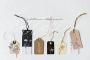 Wildflowers collage collection, a Texture Graphic by Anna Sokol (Thumbnail 19 of 21)