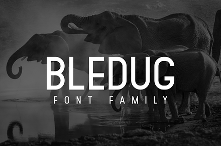 Bledug Font Family