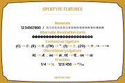 Dappers - a vintage display font, a Serif Font by Brainware Graphic (Thumbnail 7 of 13)