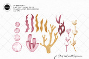 Pink Ocean Animals Clipart, an Illustration by Gau Silva Studio (Thumbnail 3 of 4)