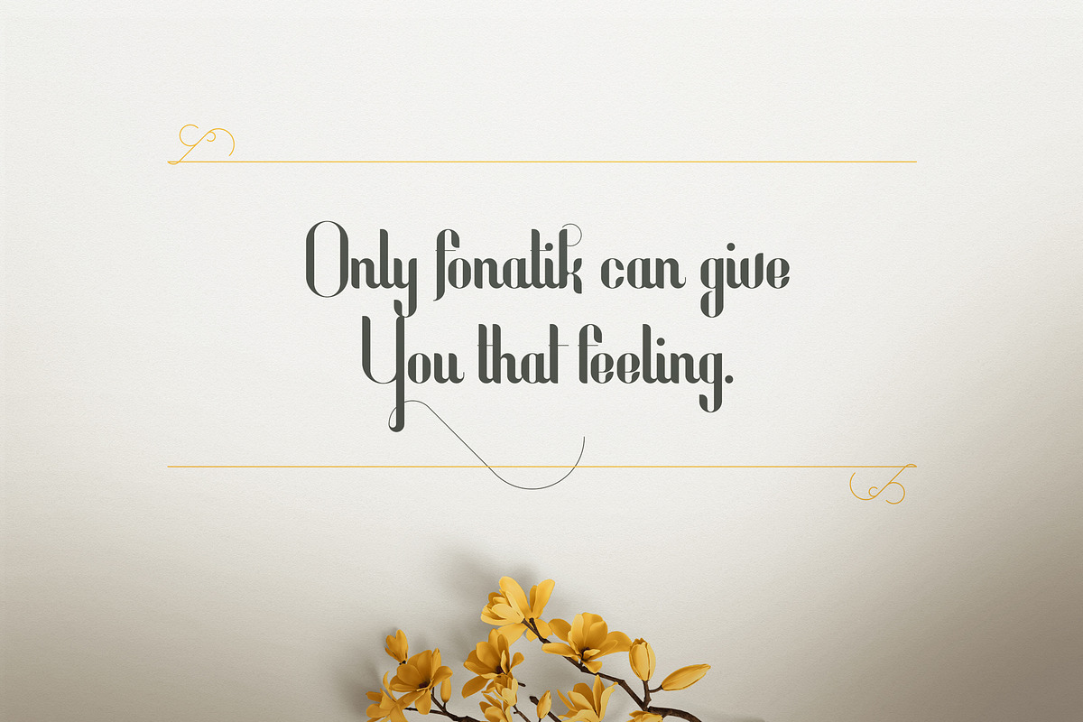 Fonatik Display font + Extras preview 4