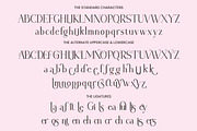 Beamont, a Script Font by Flawless And Co (Thumbnail 5 of 14)