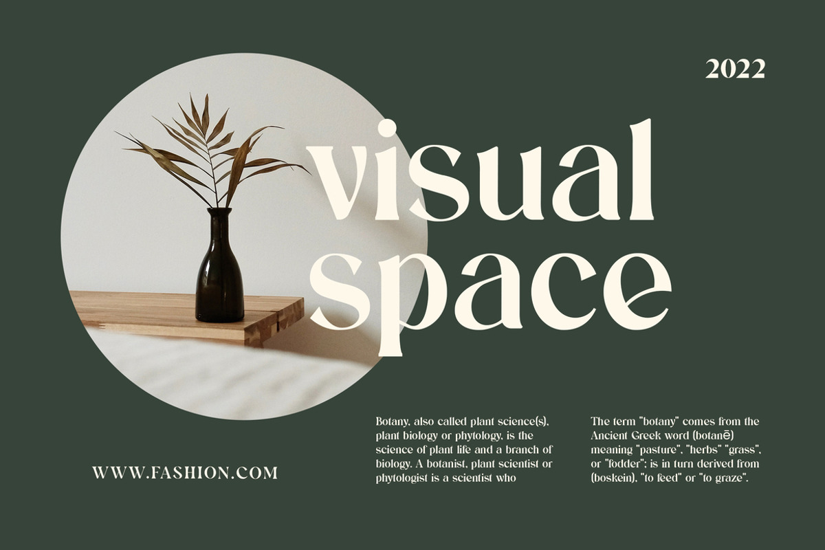 Aluvion Display Modern Serif Font, a Serif Font by UICreative (Photo 2 of 12)