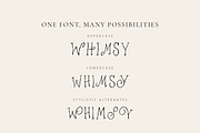 MEOWILD – Whimsical Hand Drawn Font, a Handwritten Font by Karma (Thumbnail 5 of 11)