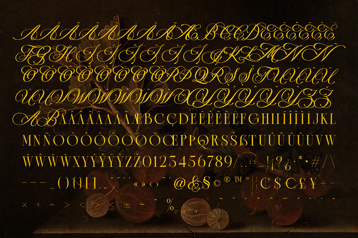 Black Saphire - Hybrid Serif, a Serif Font by Krismagraph (Photo 8 of 14)