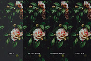 Fuji FP 100C, a Preset Add-On by colorituals (Thumbnail 3 of 9)