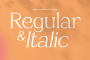 Amstir - Classic Serif Typeface, a Serif Font by Craft Supply Co. (Thumbnail 2 of 8)