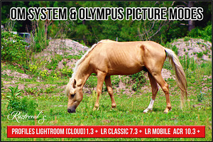 OM System & Olympus Picture Modes