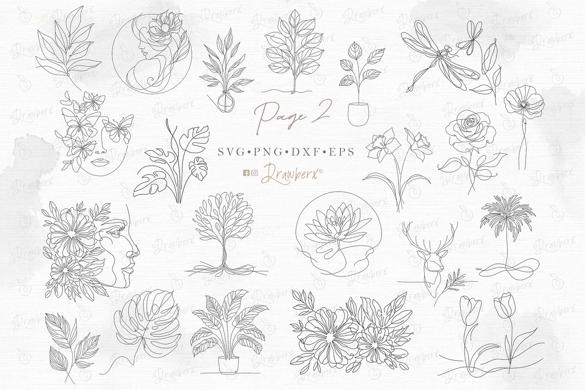 Floral Line Art illustration svg 150, an Illustration by Drawberx (Photo 5 of 13)