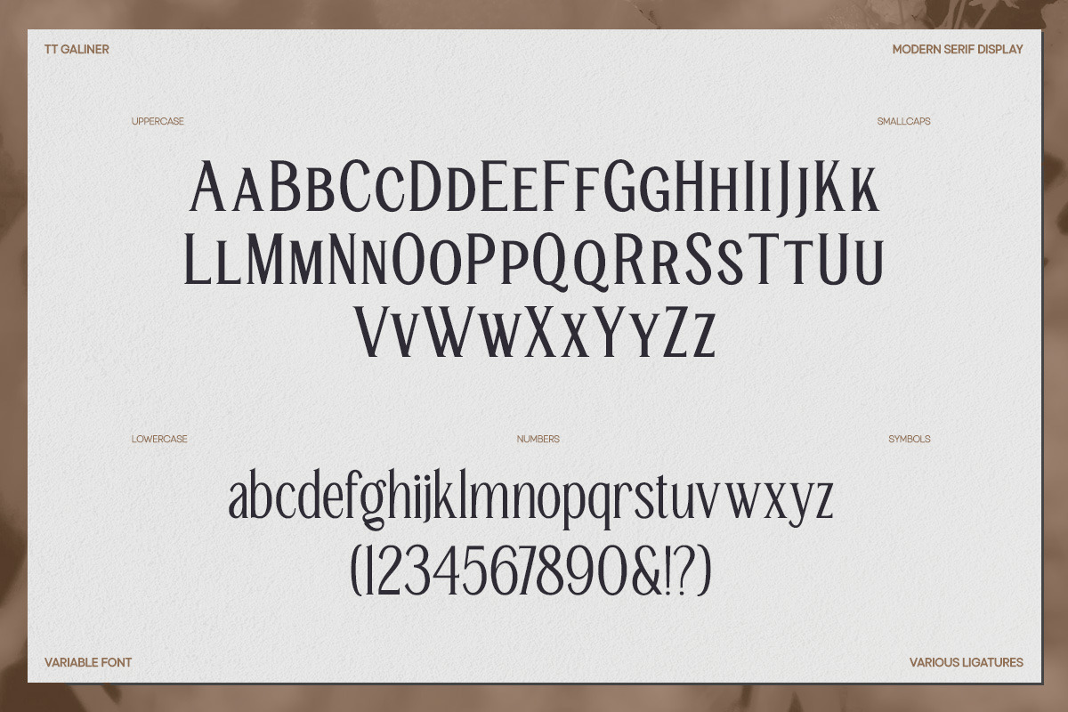 TT Galiner – Timeless Elegance Serif, a Serif Font by truetype (Photo 13 of 15)