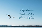 Pastel Handwritten Font, a Script Font by sunnytudu (Thumbnail 4 of 9)