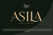 Carolina || Modern Serif  Font, a Serif Font by Idea Studio (Thumbnail 2 of 12)