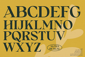 Bergsof Elegant Classic Font