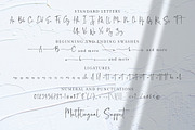 Balnes | Modern Script, a Script Font by Ef Studio (Thumbnail 7 of 7)