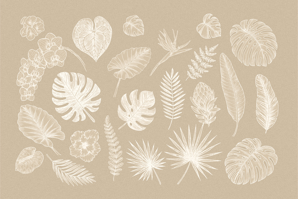 Tropical florals collection, an Illustration by adehoidar (Photo 2 of 10)