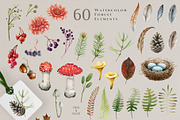 Forest Animals Watercolor Clipart, an Animal Illustration by AnitaPol (Thumbnail 16 of 19)
