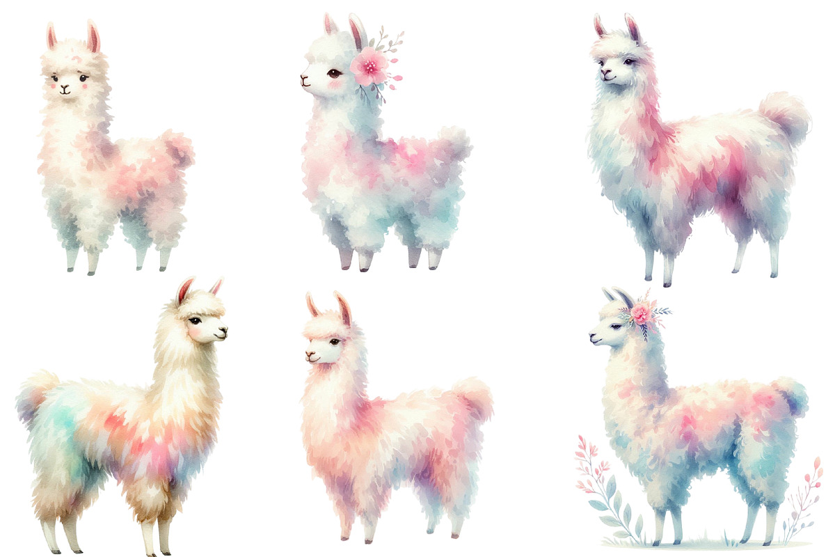 Watercolor Llama clipart, an Illustration by Designworld (Photo 3 of 5)