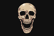 Skull Hand Drawn Illustration, an Object Illustration by zdson (Thumbnail 1 of 3)