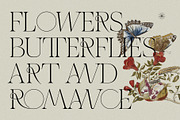 THE FRENCH KISS ROYAL TYPEFACE, a Serif Font by SilverStag Type Foundry (Thumbnail 5 of 23)