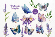 Butterfly Watercolor Floral Clipart, a Decorative Illustration by ClipArtRoom (Thumbnail 1 of 5)