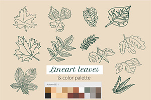 Leaves Stamps For Procreate. Foliage