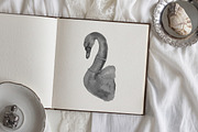 The White Swan Ballet vintage set, a Decorative Illustration by Amely.Art (Thumbnail 4 of 14)