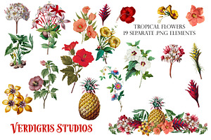 Vintage Tropical Flower Graphics