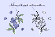 Berries Vector Illustration Pack, an Illustration by Castula (Thumbnail 10 of 17)