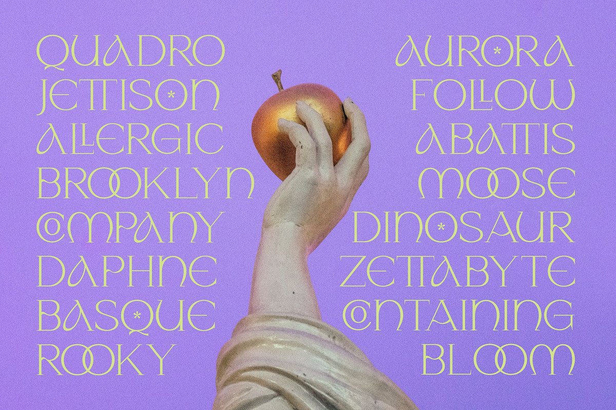 Naure - Serif Display, a Serif Font by takoliko (Photo 4 of 11)