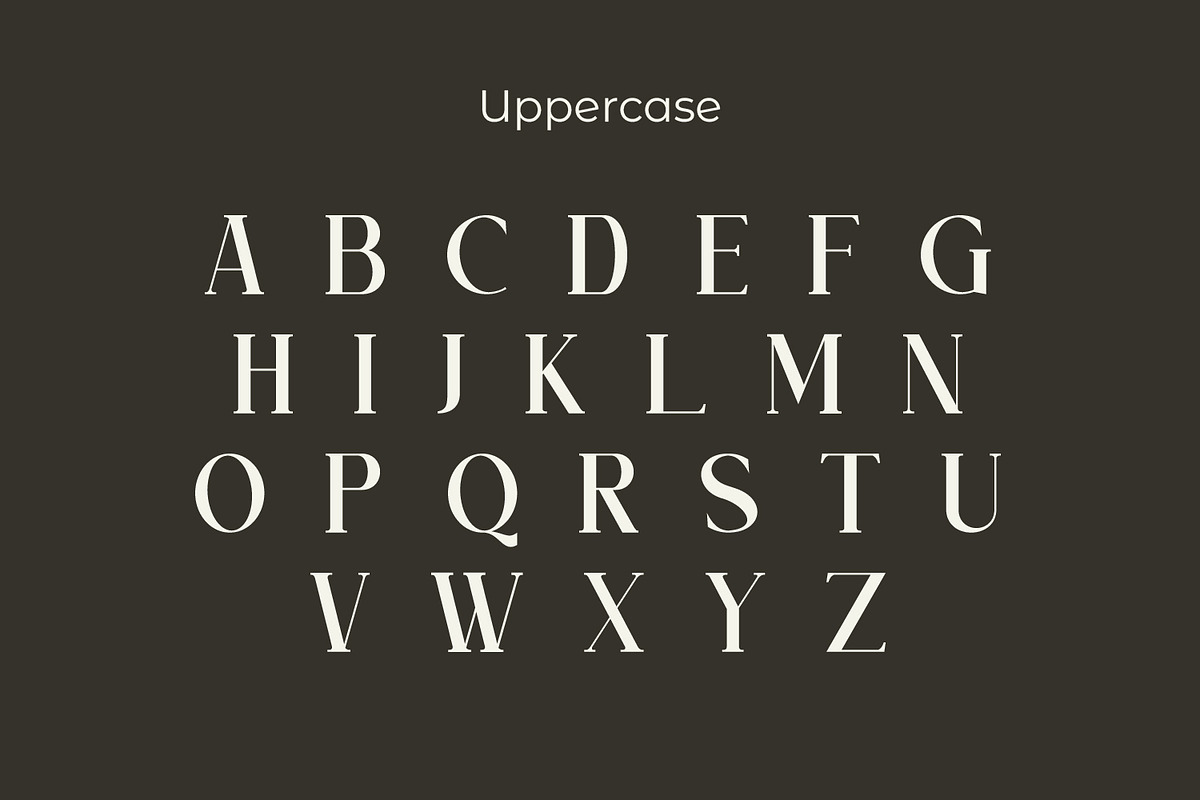 Bloofiqt, a Serif Font by Rishsketch (Photo 8 of 13)