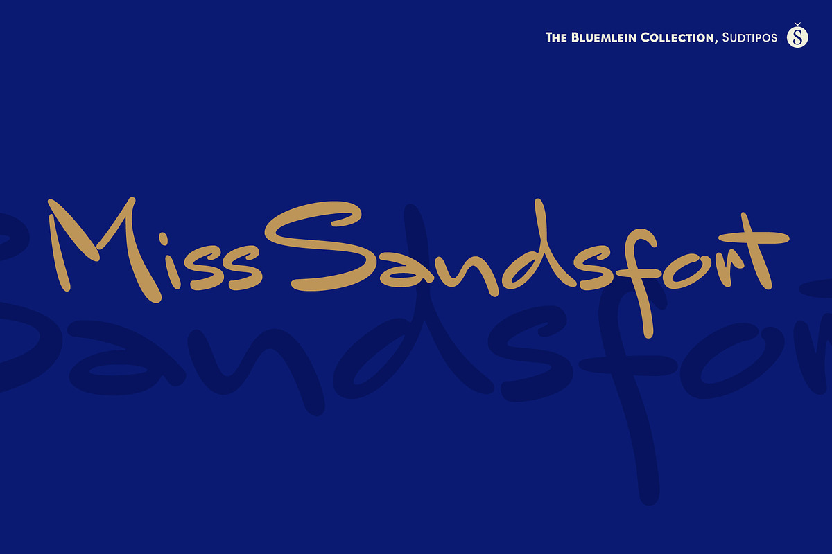Mr Sandsfort Pro