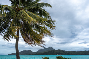 Bora Bora Island View from Palm Tree Beach in French Polynesia, a Nature Photo by GoodGoods