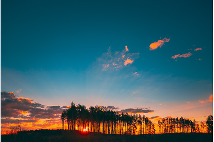 Sunset Sunrise In Pine Forest. Sun, a Nature Photo by Our Amazing World