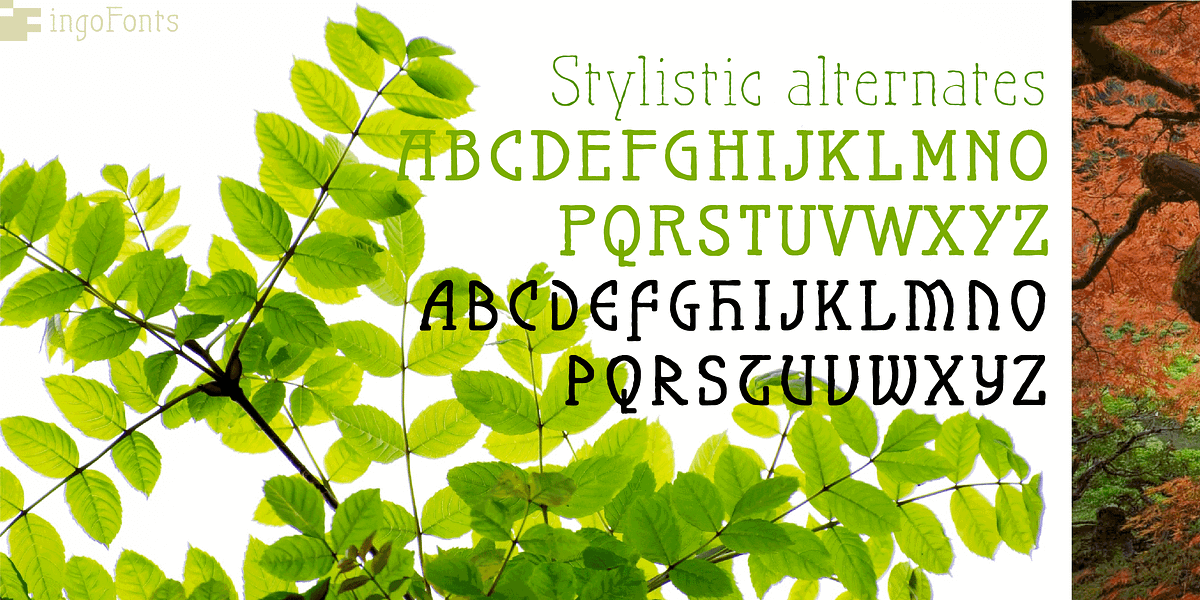 Maier's Nr. 21 Pro, a Handwritten Font by ingoFonts (Photo 7 of 10)
