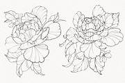 Procreate flower stamp, a Brush Add-On by AnnaPolitmerskaja (Thumbnail 3 of 6)