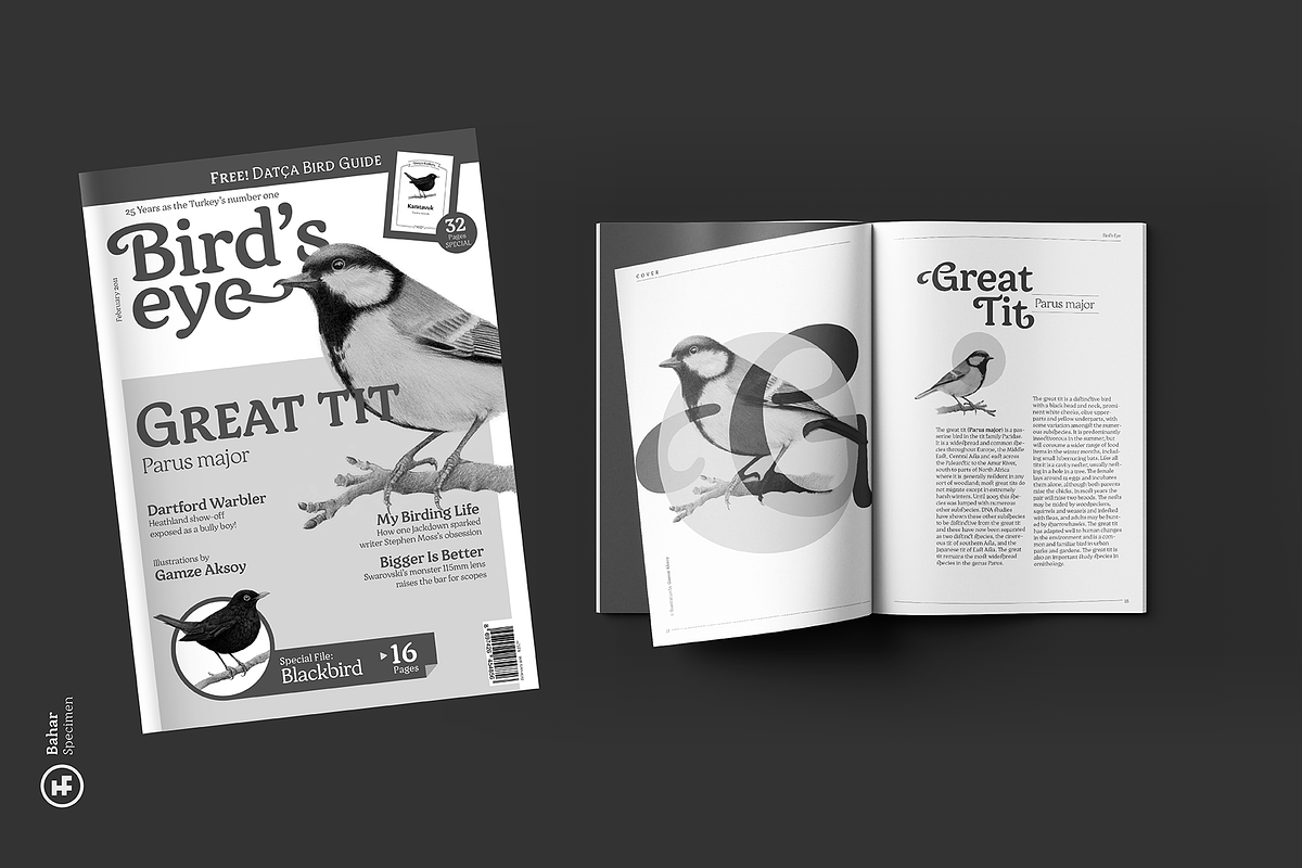 Bahar Text, a Serif Font by Hurufatfont (Photo 8 of 10)