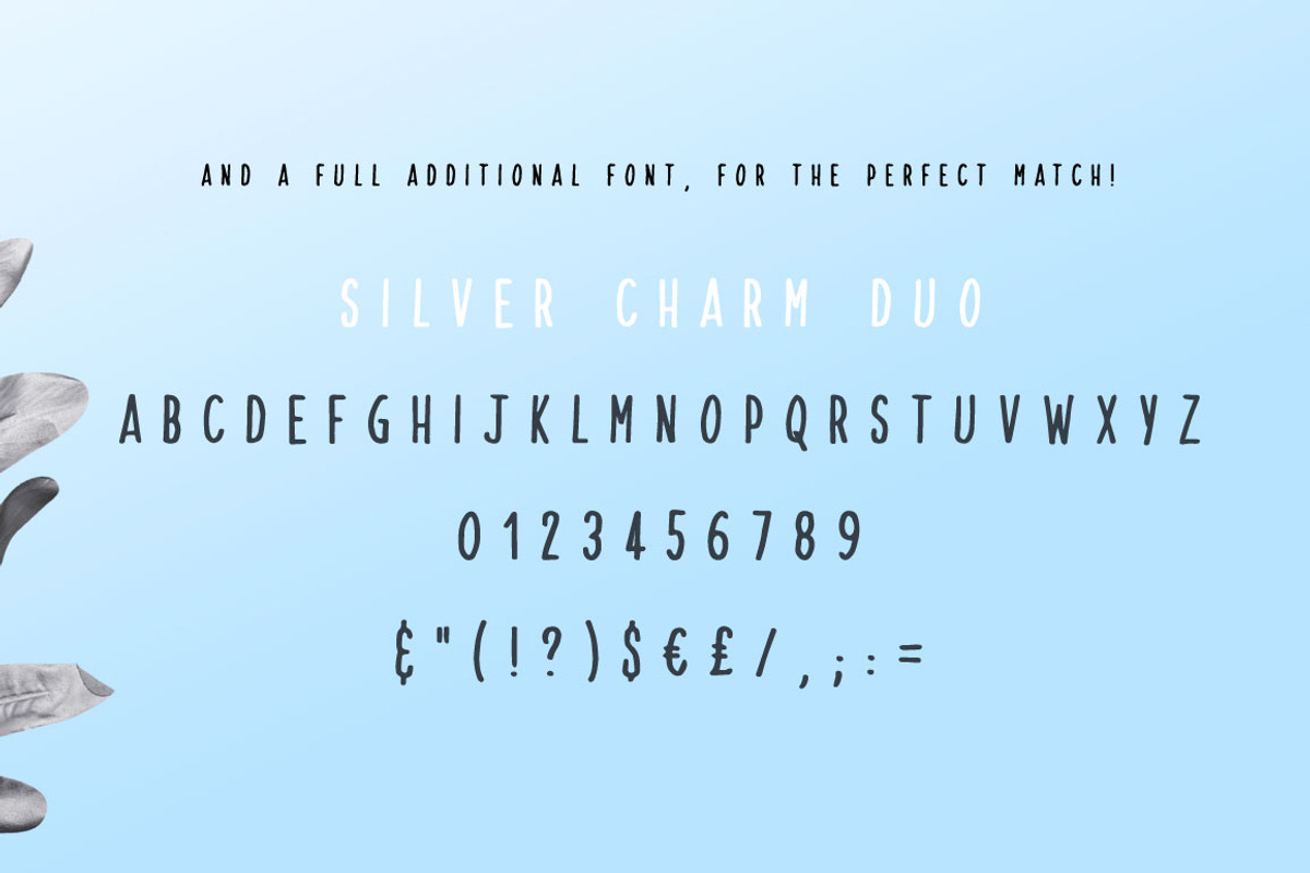 Silver Charm, a Handwritten Font by StereoType (Photo 10 of 10)