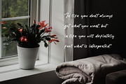 Laquentta Morelly, a Handwritten Font by Integritype Studio (Thumbnail 3 of 15)