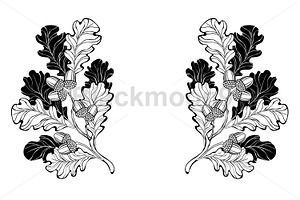Contour oak branches, a Decorative Illustration by blackmoon9