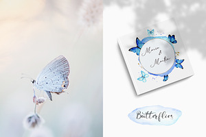 Butterflies Watercolor Collection