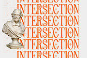 Pheromone Ultimate | Modern Classic, a Serif Font by Lettertype Studio (Thumbnail 4 of 20)