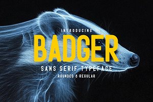 Badger - Sans Serif Typeface, a Sans Serif Font by HipFonts