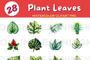 Botanical Beauty: Explore Nature's D, an Education Illustration by John_Walker (Thumbnail 2 of 2)