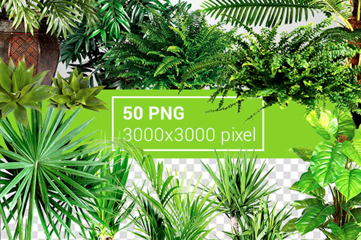 Plant Leaves Foliage Mega Pack, an Object Graphic by Sladedesign (Photo 2 of 5)