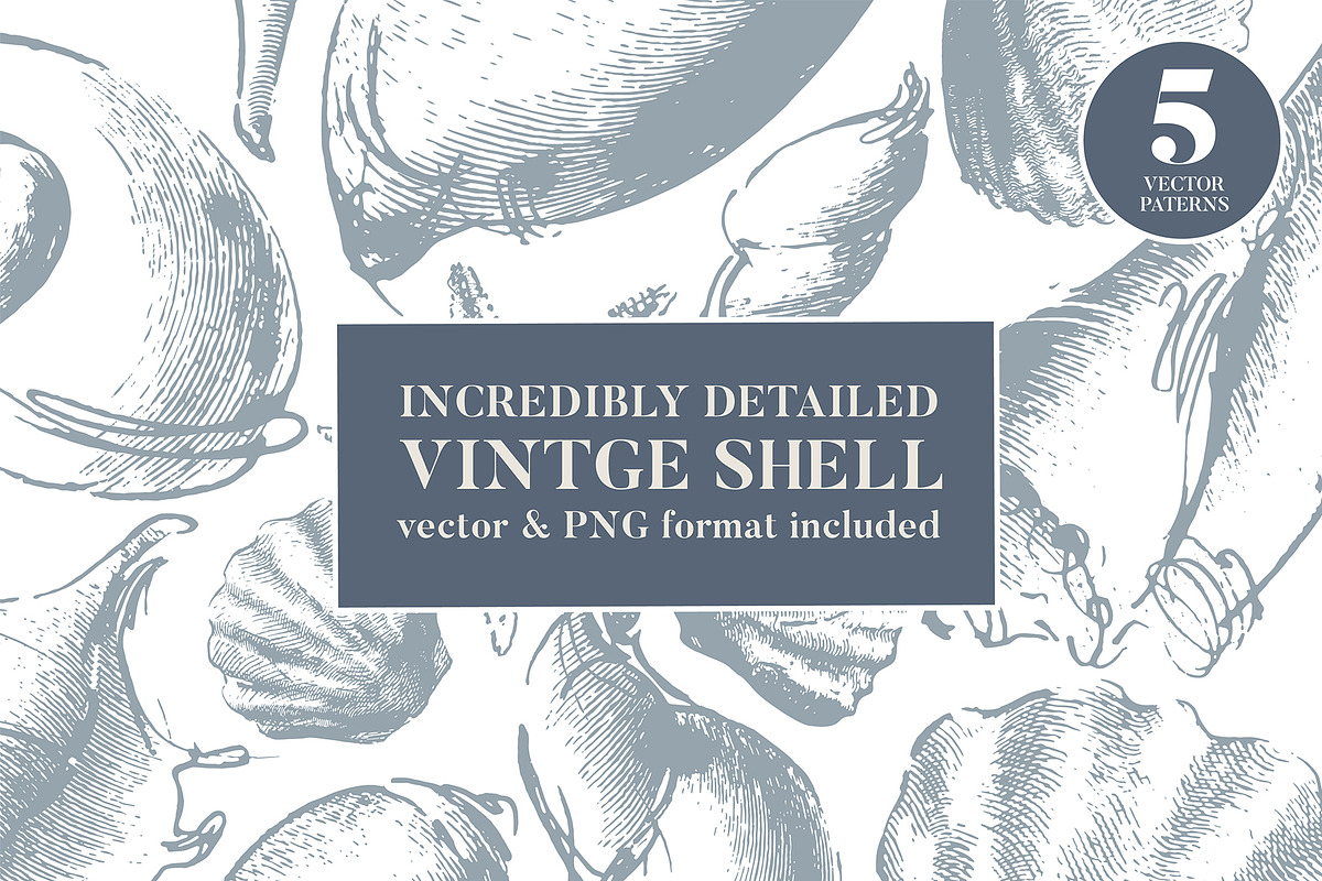 Vintage shell, an Illustration by Siosay (Photo 1 of 8)