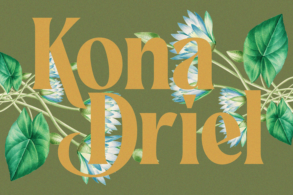 Rakizen Bisrony — Modern & Classic, a Serif Font by Enxyclo Studio (Photo 2 of 23)