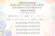 Summer Spring | Script Font, a Script Font by Scratchones (Thumbnail 7 of 8)